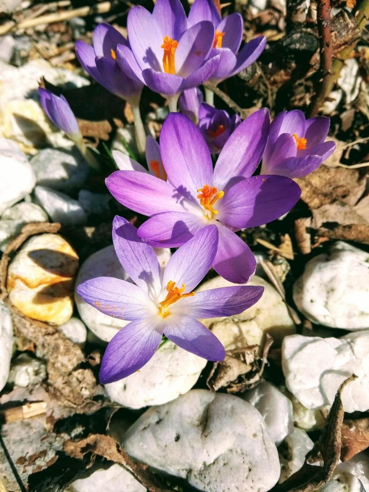 Ubytovani U Ropaku Horni Slavkov Luaran gambar